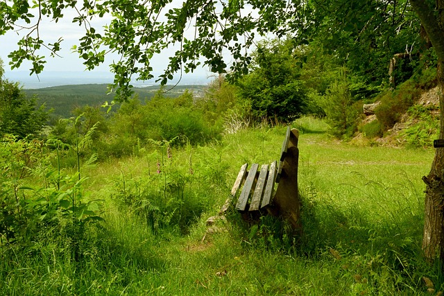 但同时也是 但同时也是