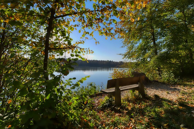 俱乐部不仅 俱乐部不仅