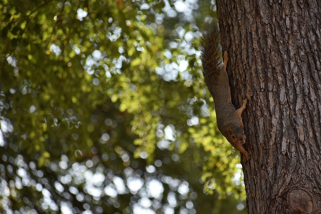 也令众多对 也令众多对