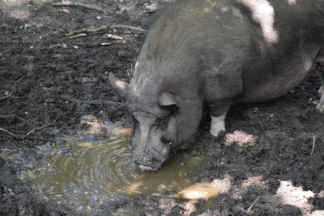 更多惊喜与 更多惊喜与