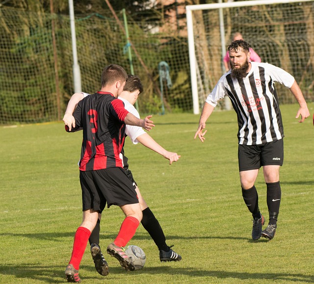 无疑是新时 无疑是新时