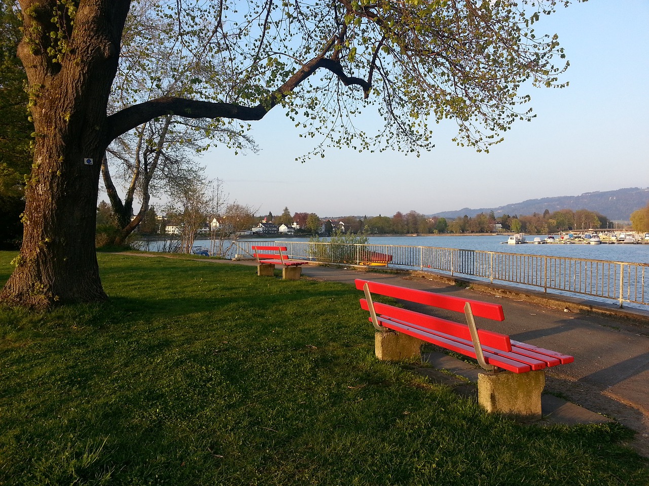 精彩的瞬间 精彩的瞬间