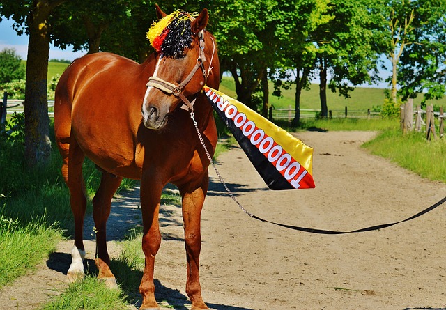 及对职业生 及对职业生