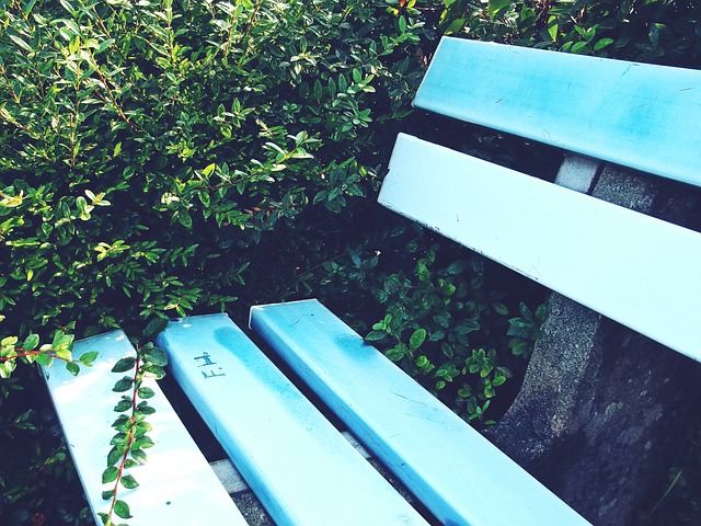 高強度的訓 高強度的訓