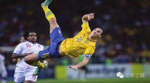 成功案例借 成功案例借