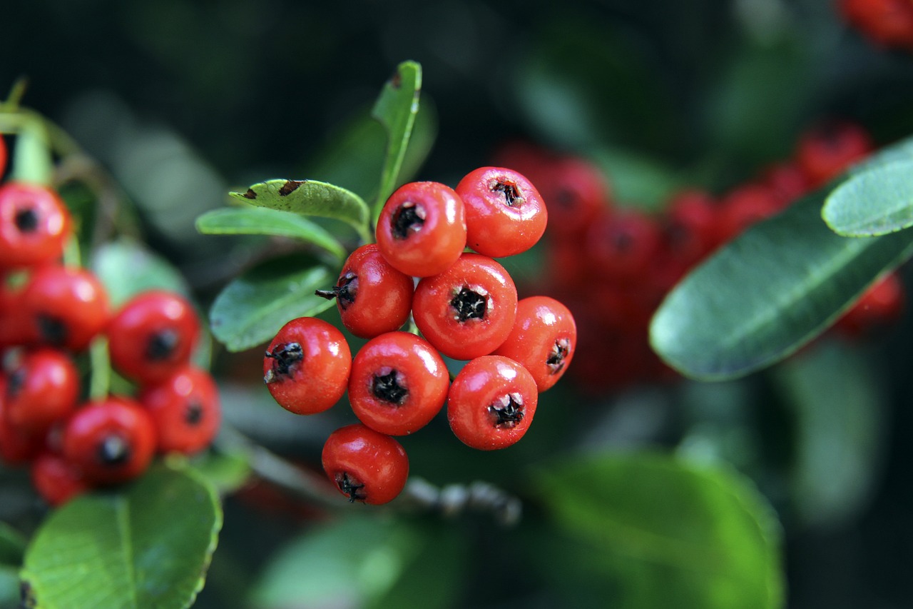 减少了重复 减少了重复