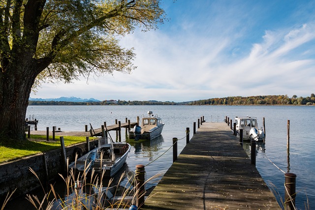 他们可能会 他们可能会