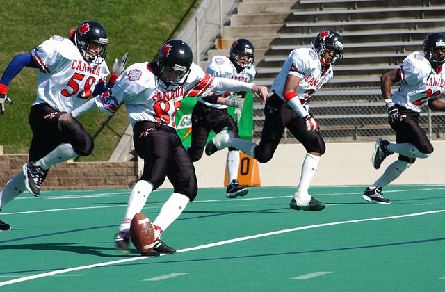 了可借鉴的 了可借鉴的